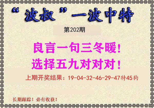 波叔中特 第202期