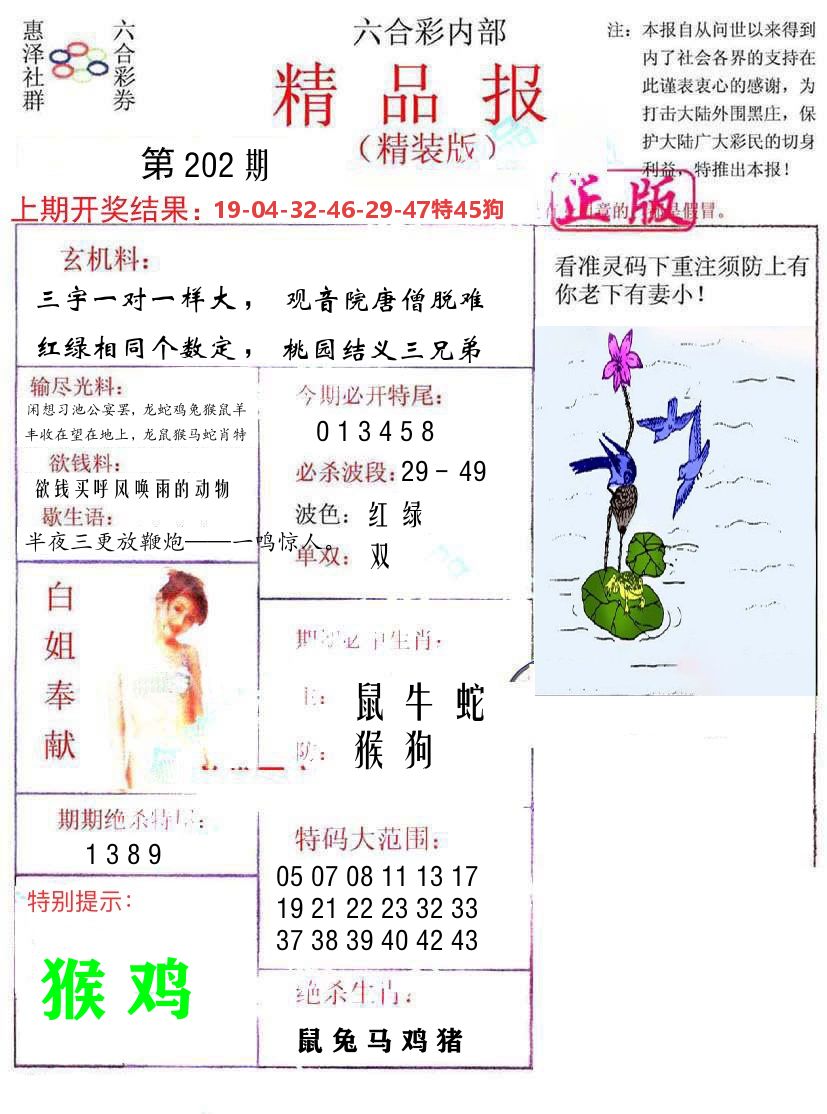 精品报 第202期