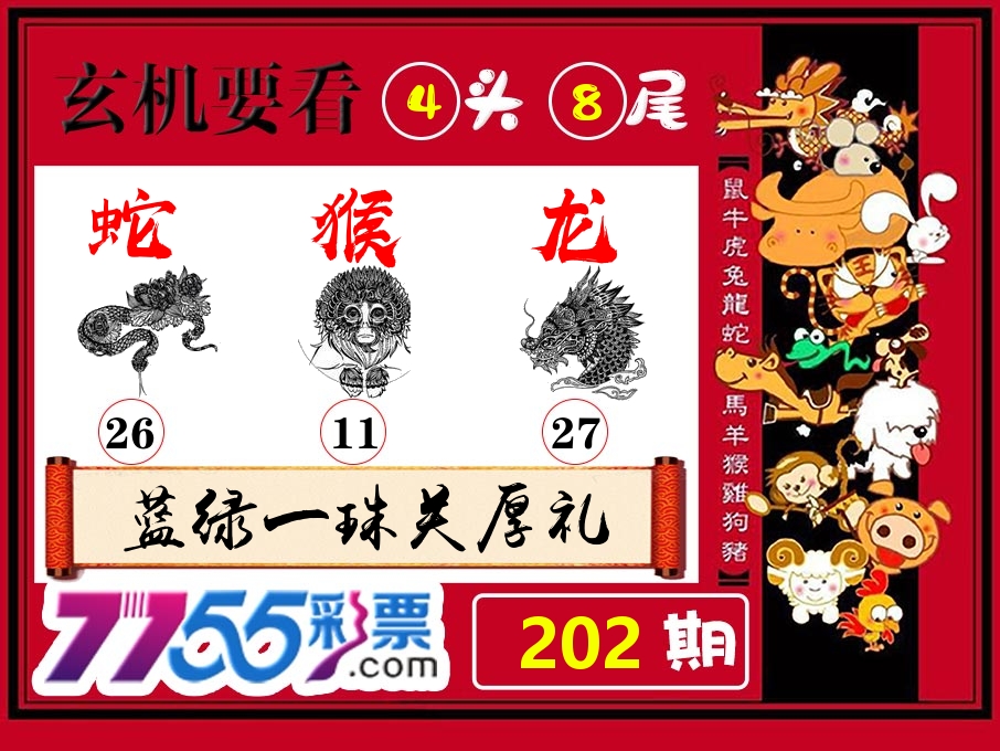 玄机要看 第202期