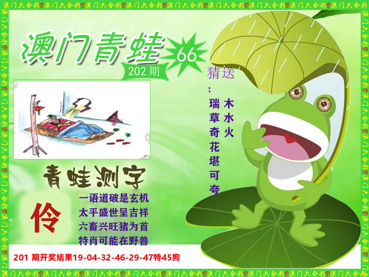青蛙系列66 第202期