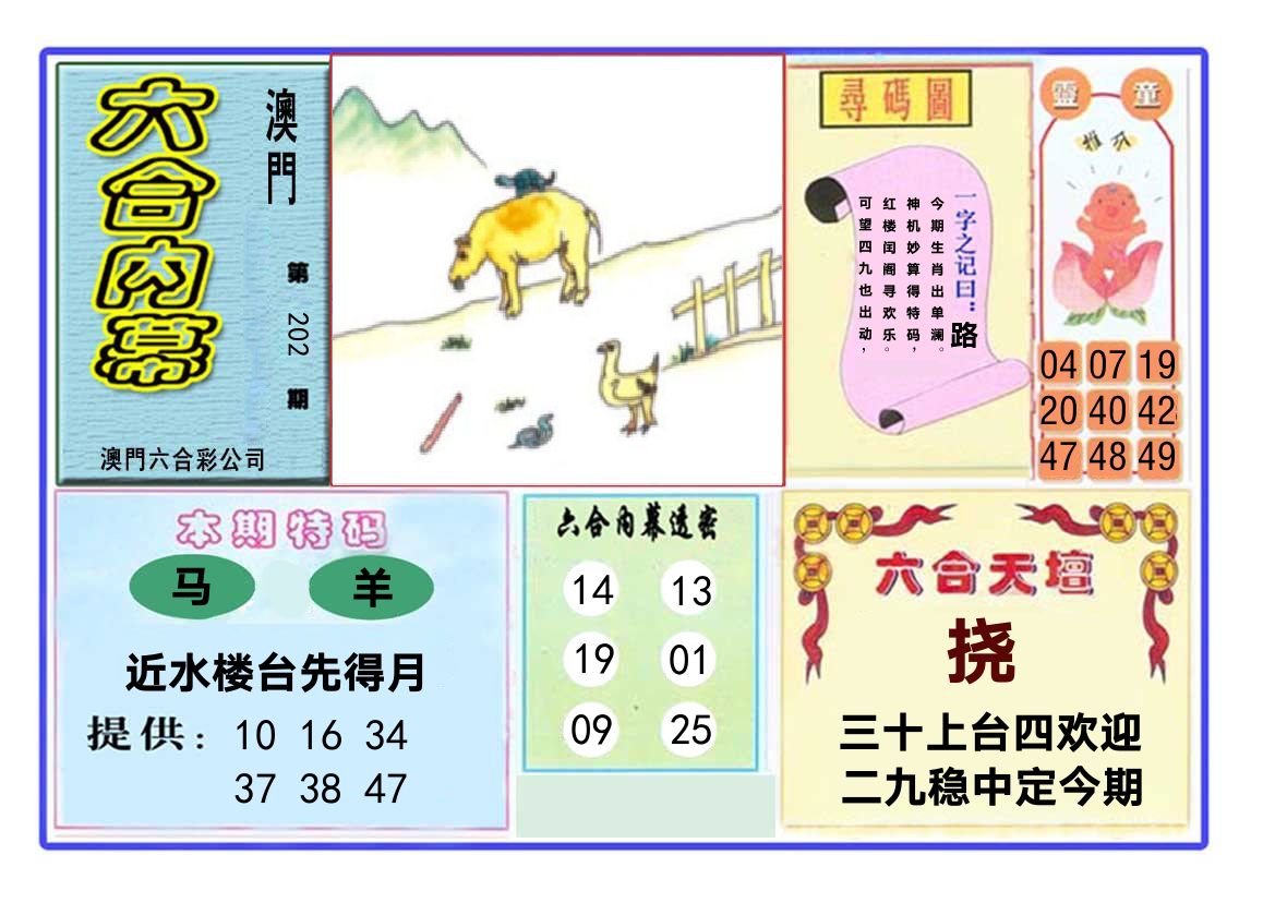 六合内幕 第202期