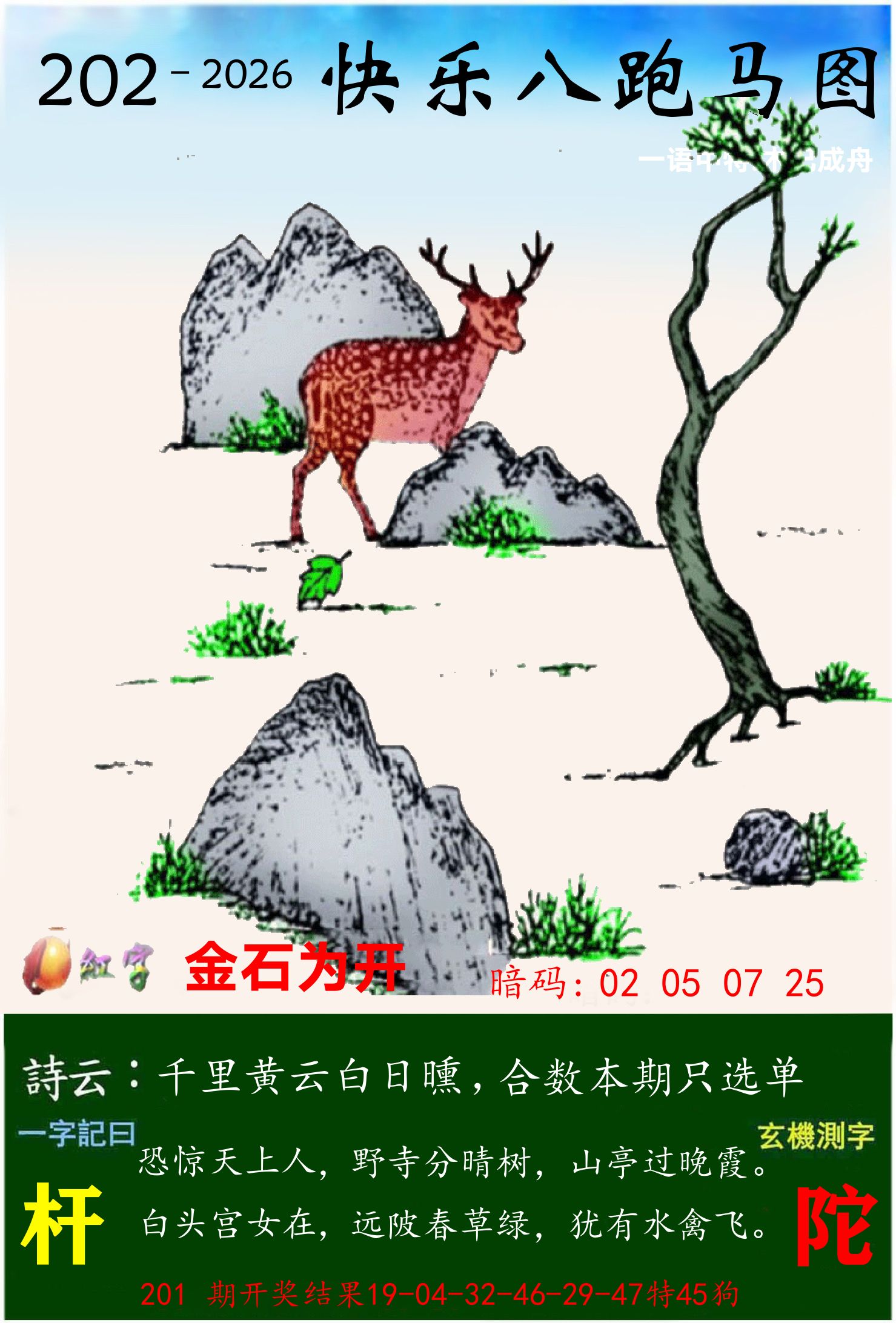 澳门跑马 第202期