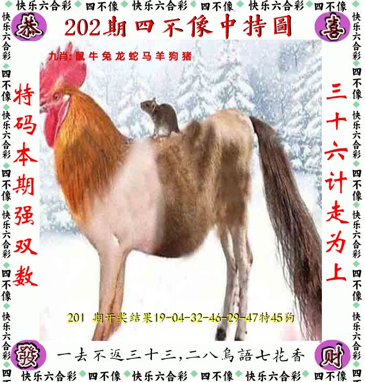 四不像 第202期