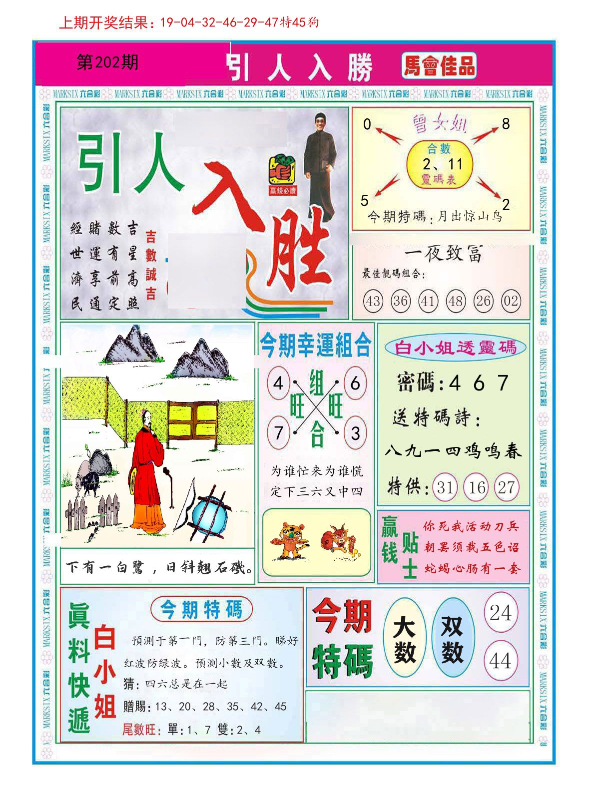 引人入胜 第202期
