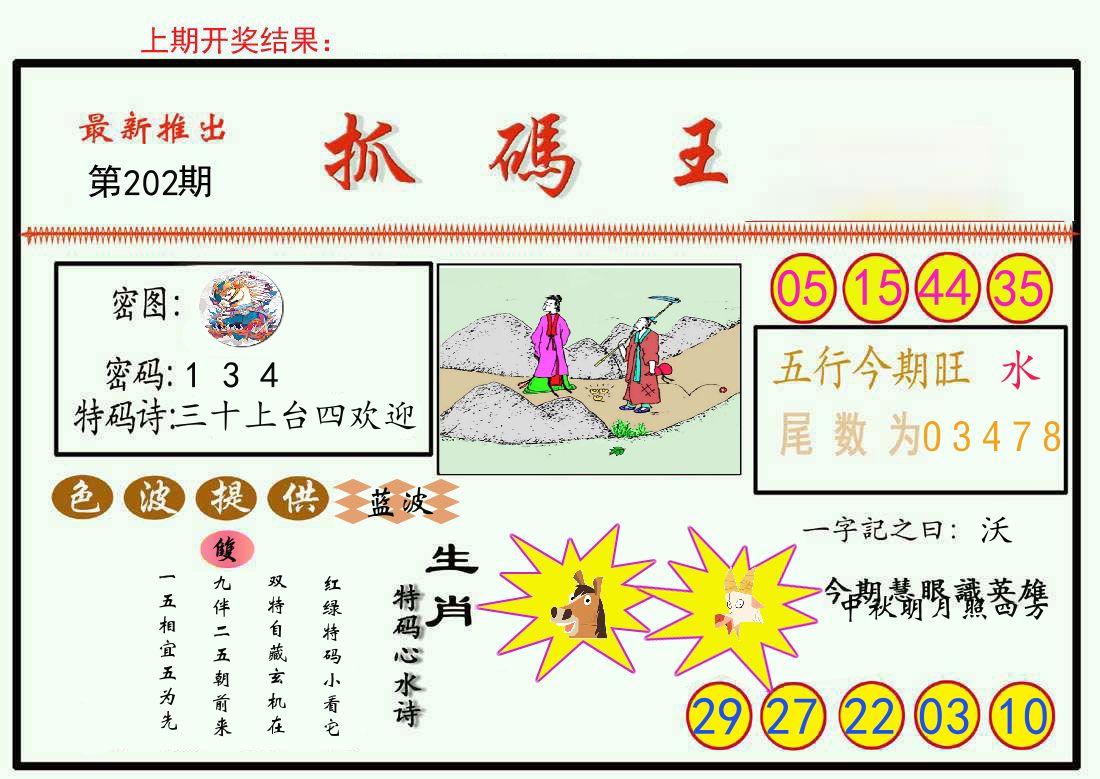 最新抓码王 第202期