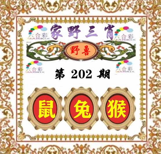 家野三肖 第202期