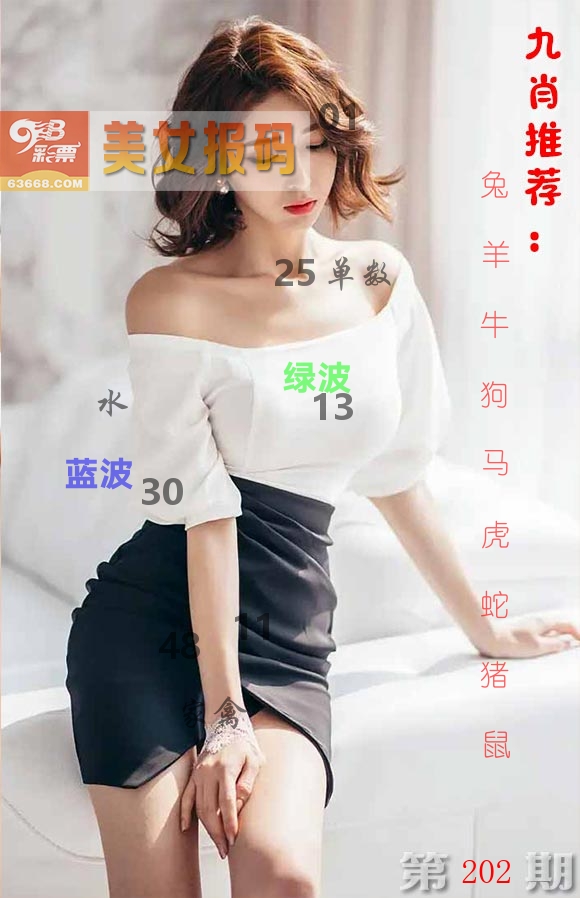 美女报码 第202期