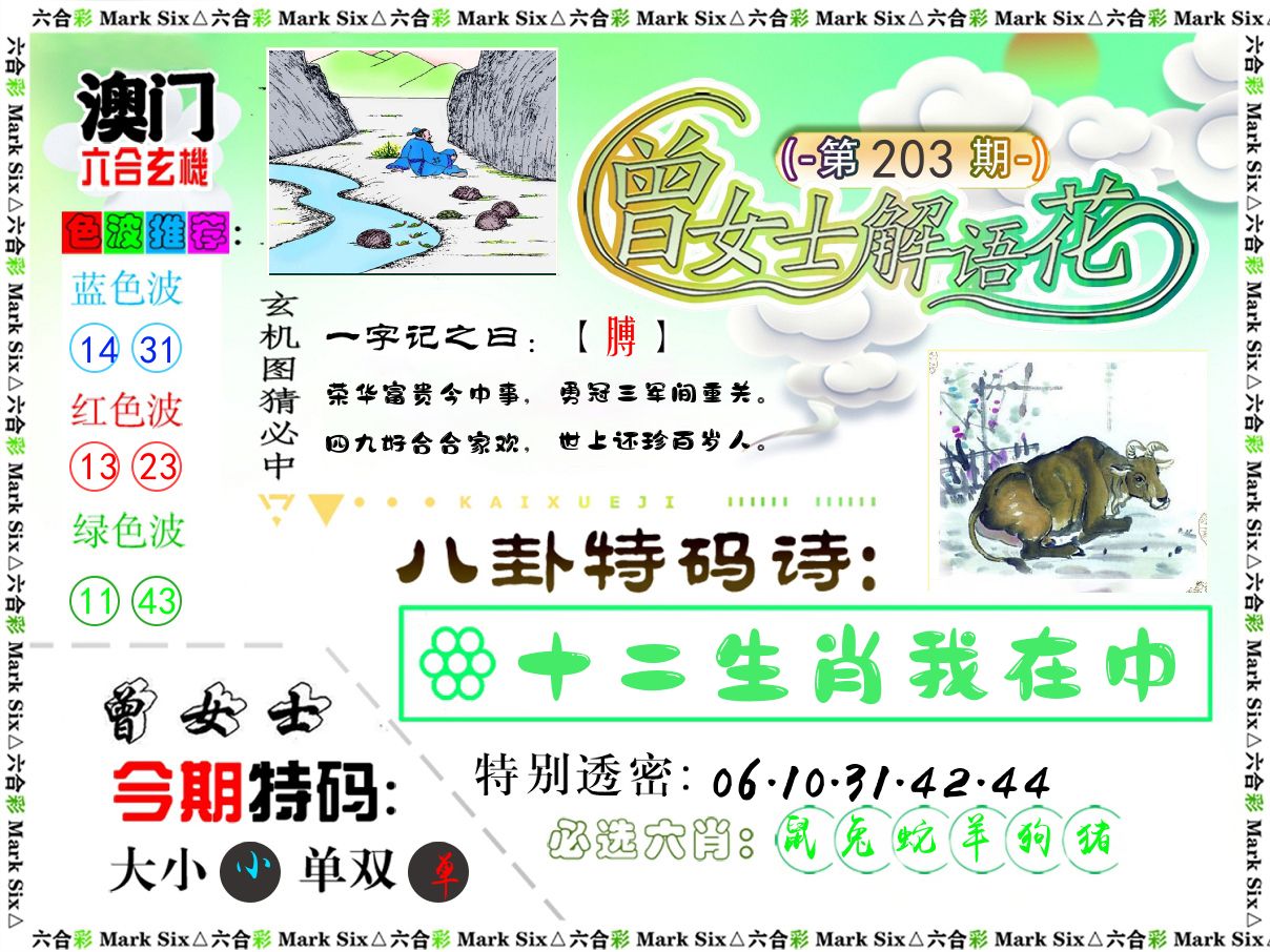 曾女士解语花 第203期