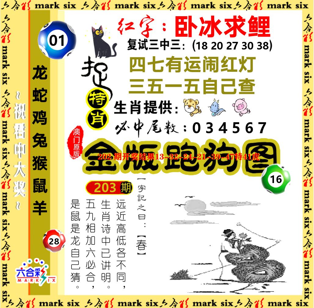 金版跑狗图 第203期