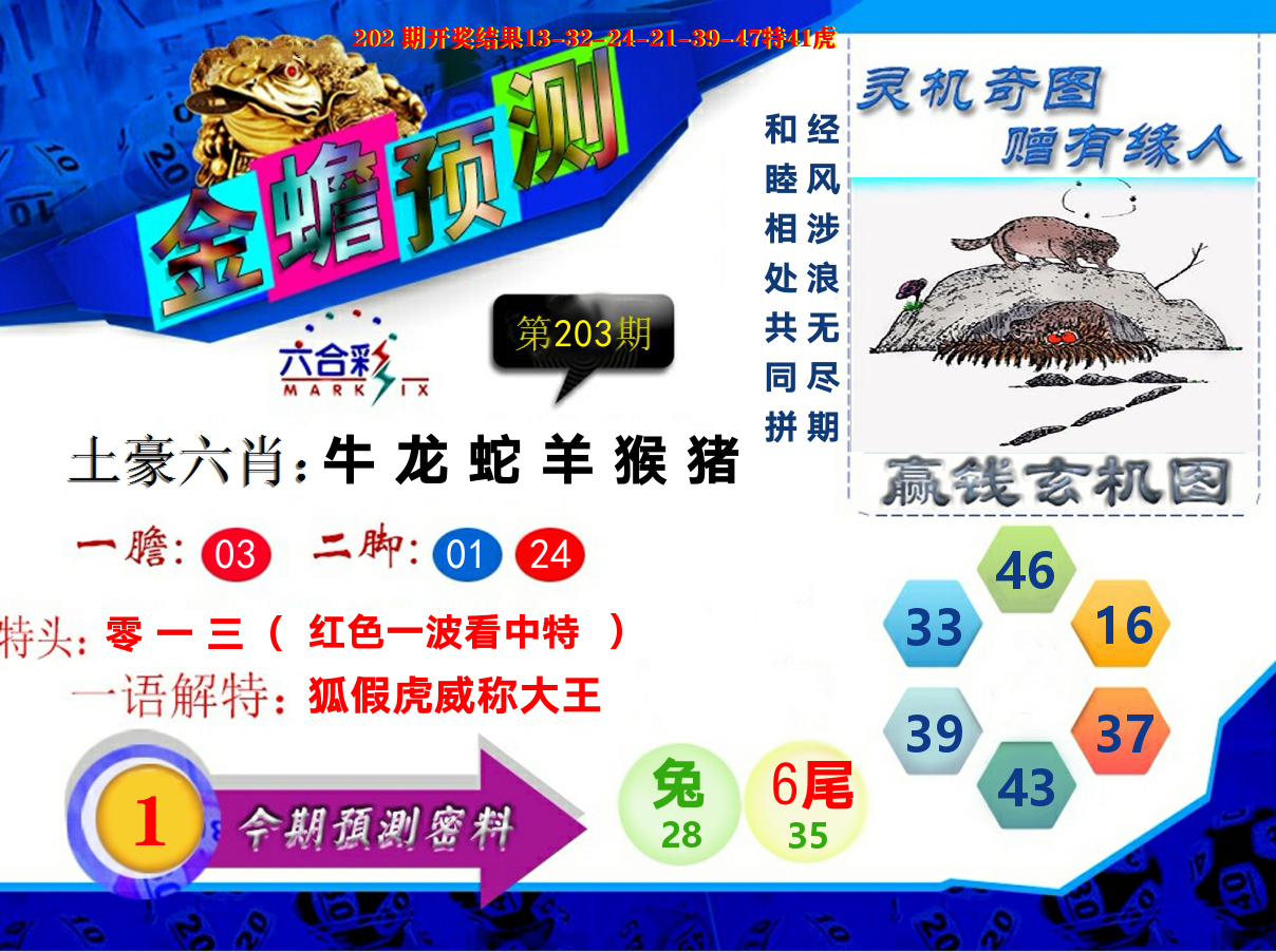 金蟾预测 第203期