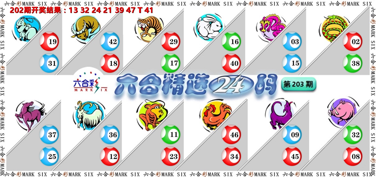 六合精选24码 第203期