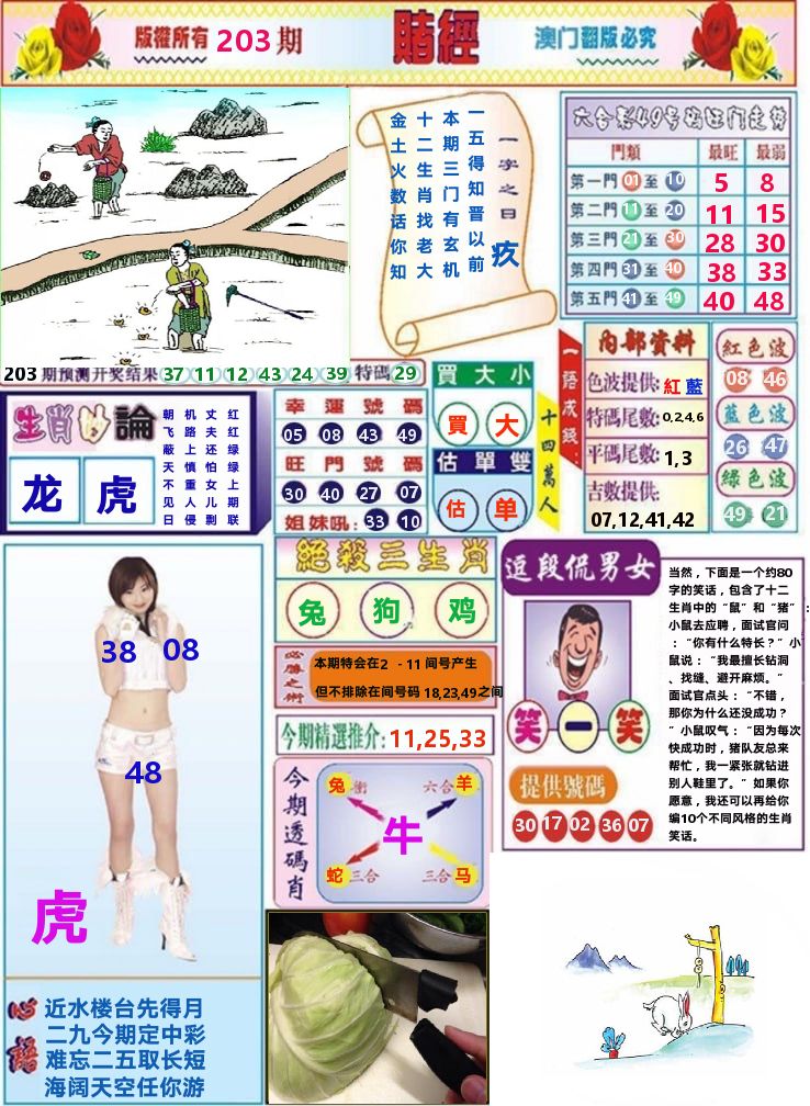 澳门赌经 第203期