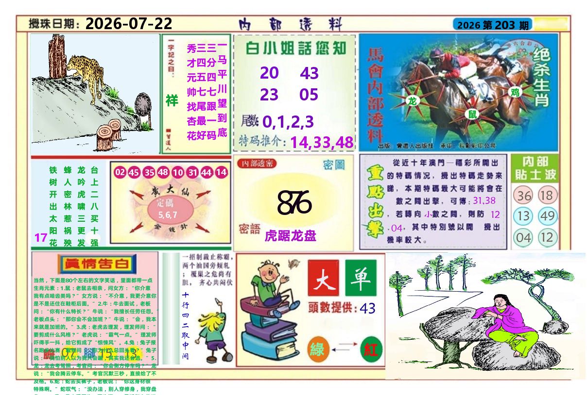 澳门内部透料A 第203期