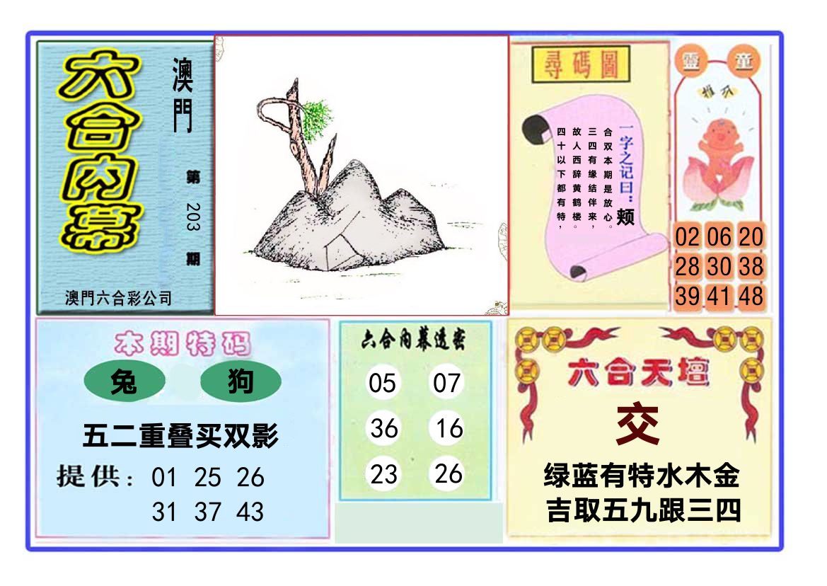 六合内幕 第203期