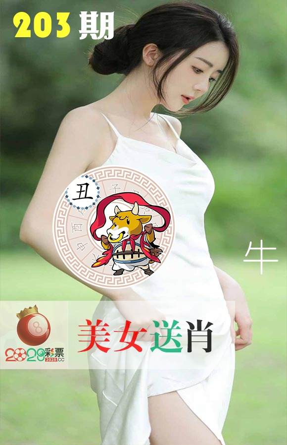 美女送肖 第203期