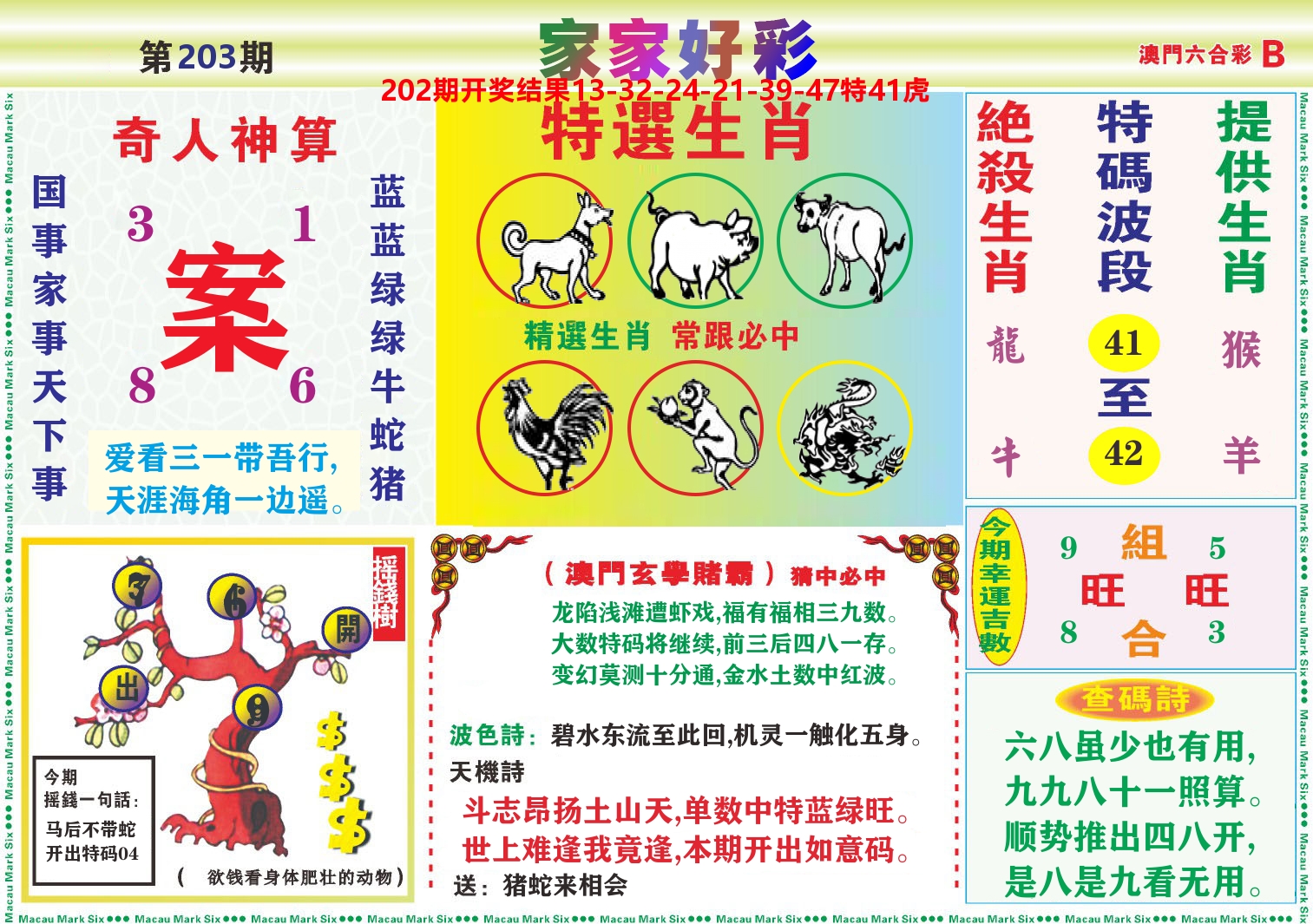 家家好彩B 第203期