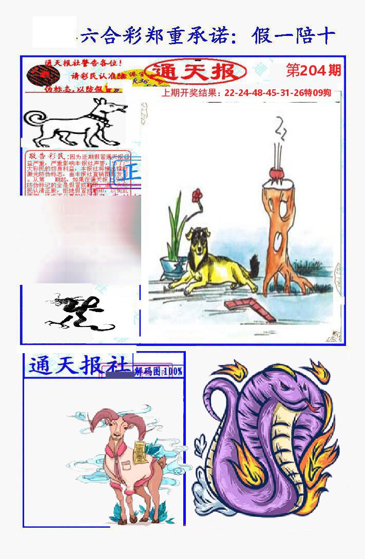 通天报 第204期