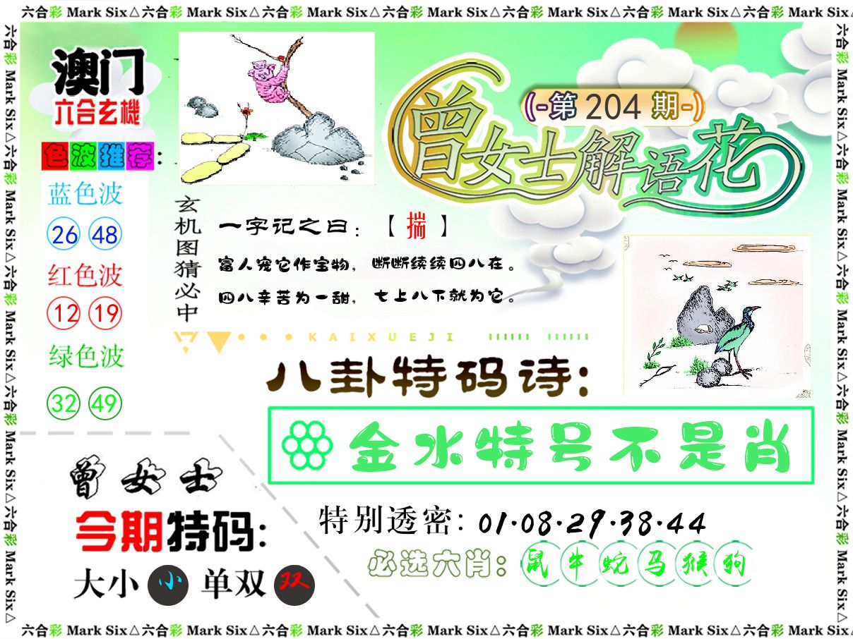 曾女士解语花 第204期