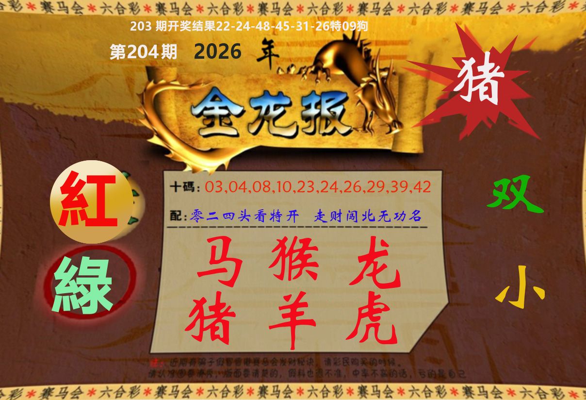 金龙报 第204期