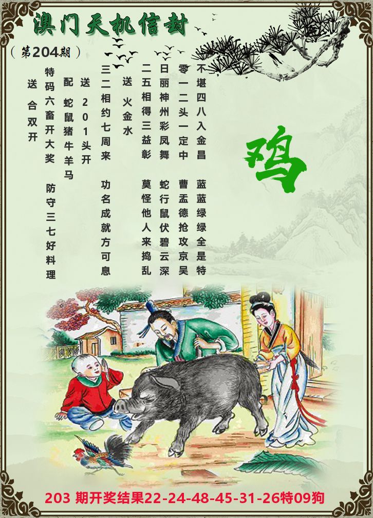 天机信封 第204期