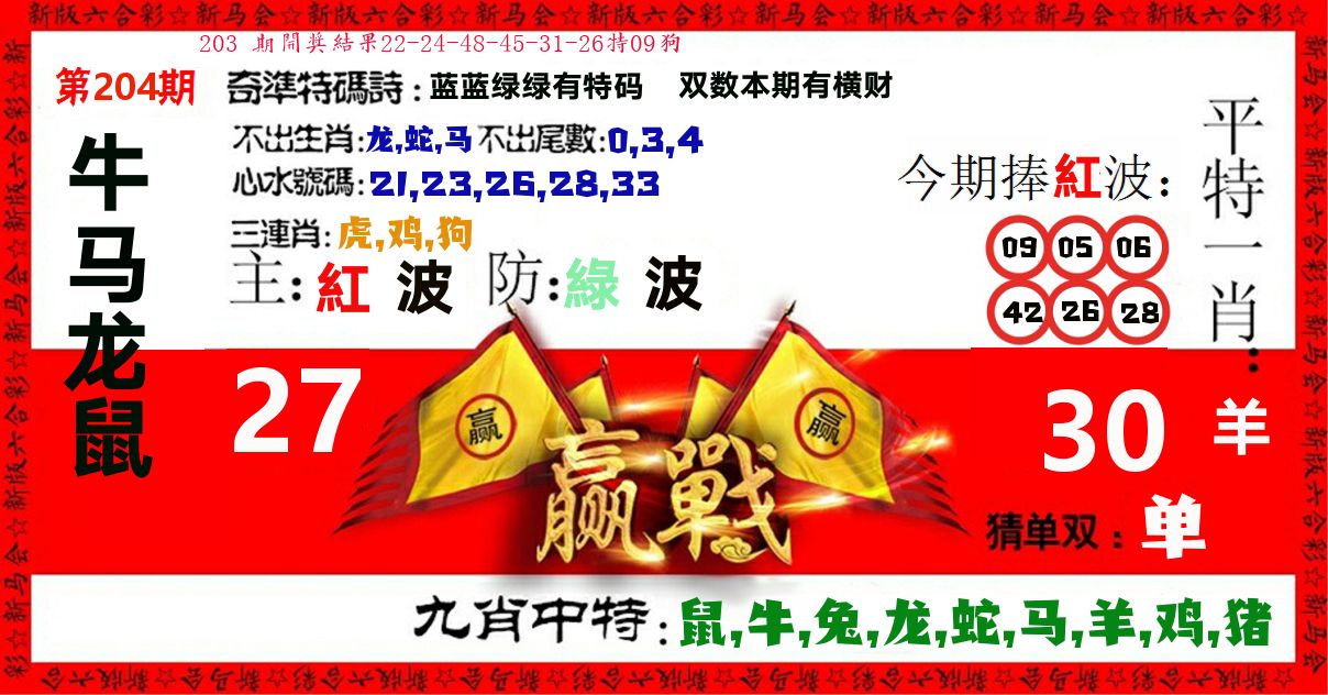 赢站 第204期
