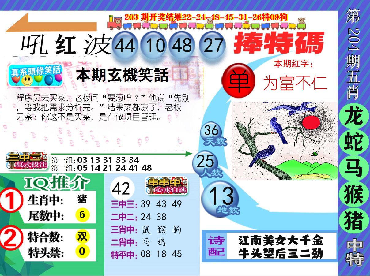 新特报 第204期