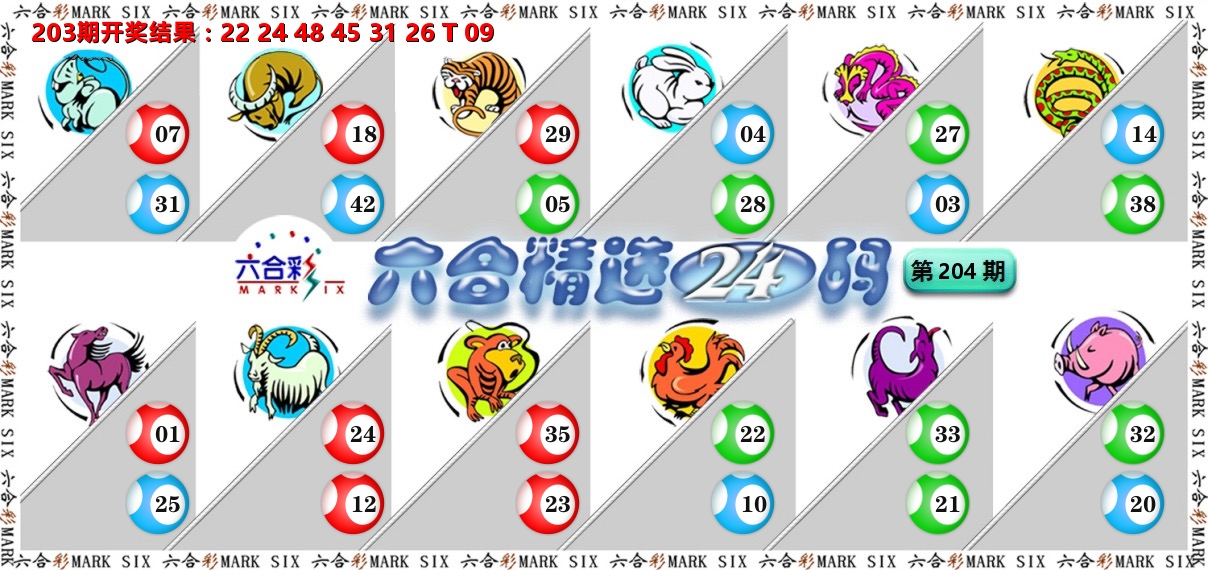 六合精选24码 第204期