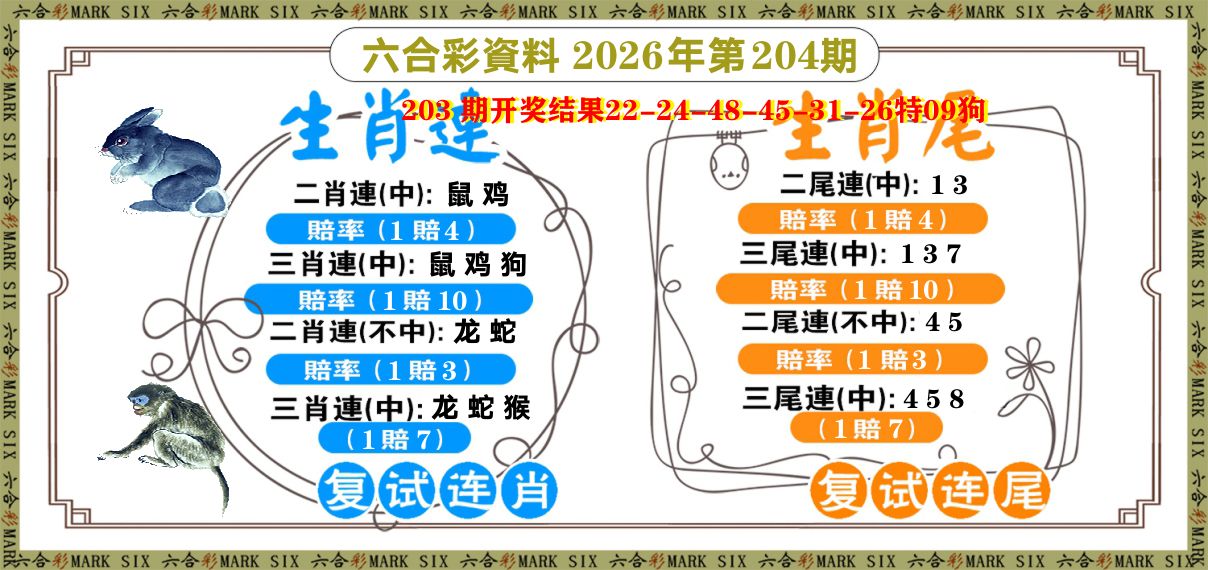 复试连 第204期