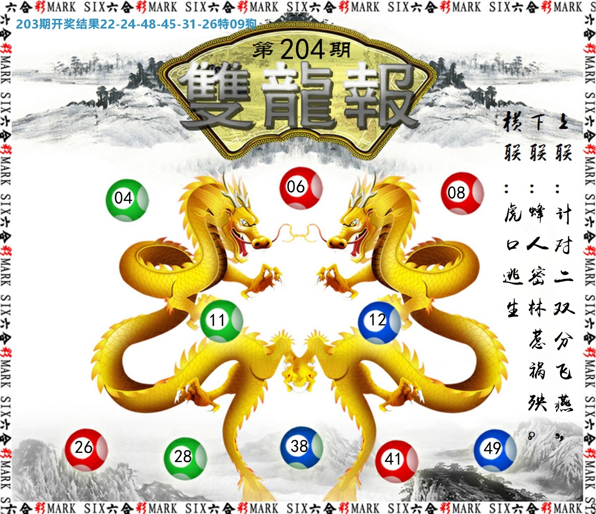 双龙报 第204期