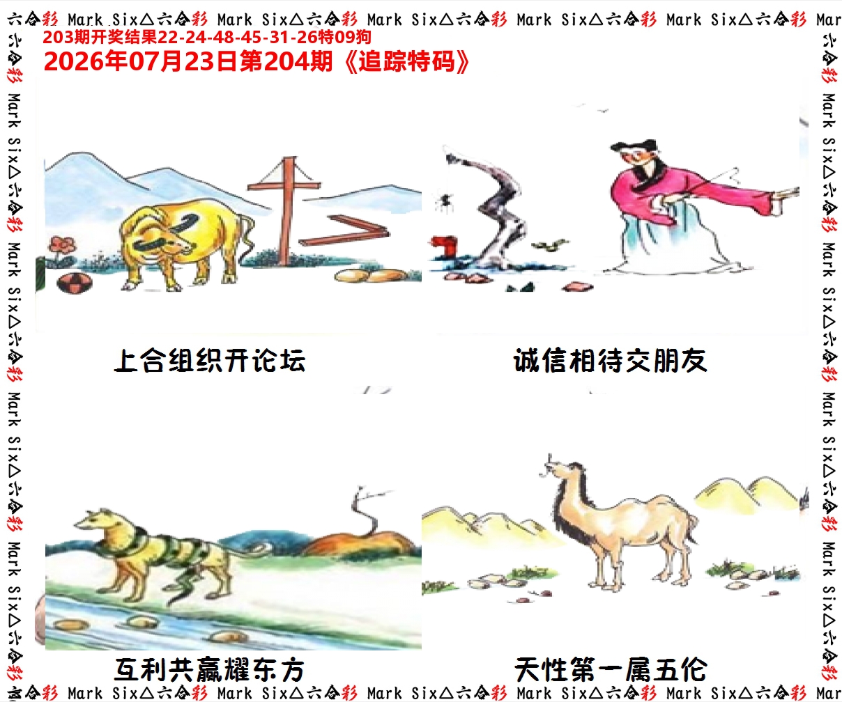 追踪特码 第204期