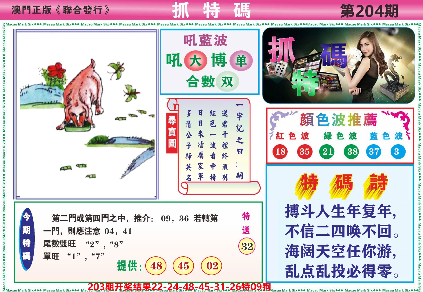 澳门抓特码A 第204期