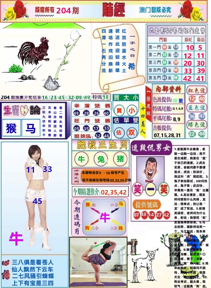 澳门赌经 第204期