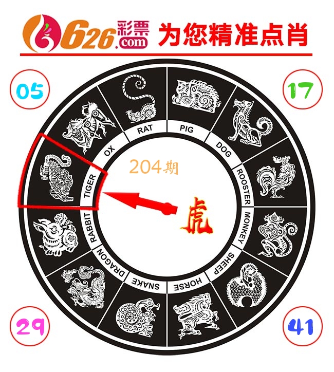 精准点肖 第204期