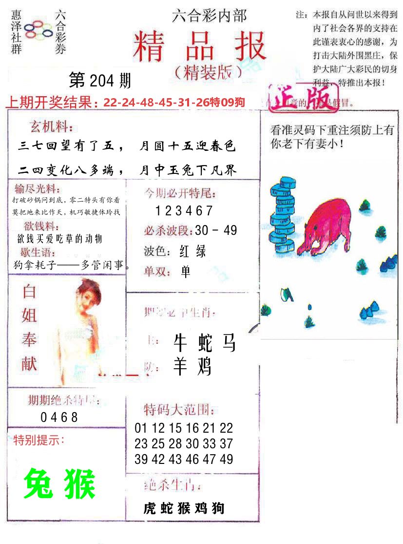 精品报 第204期