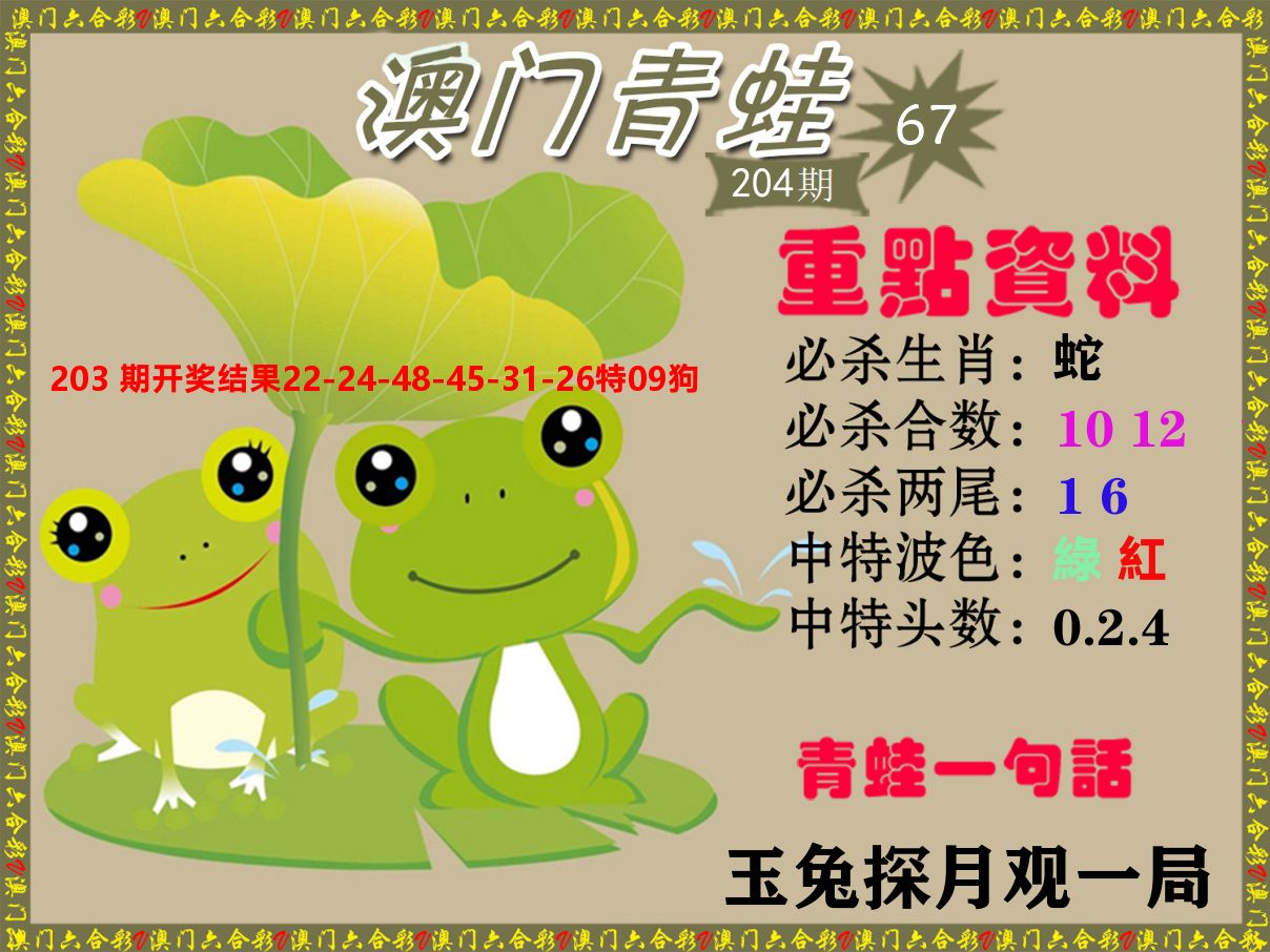 青蛙系列67 第204期