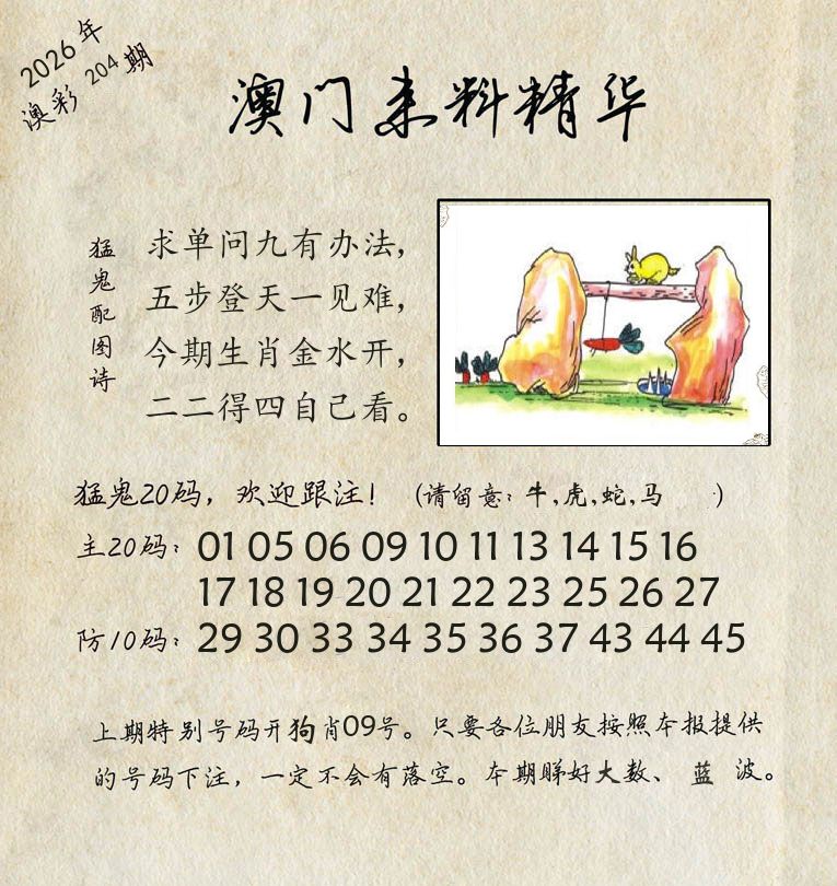 精华来料 第204期