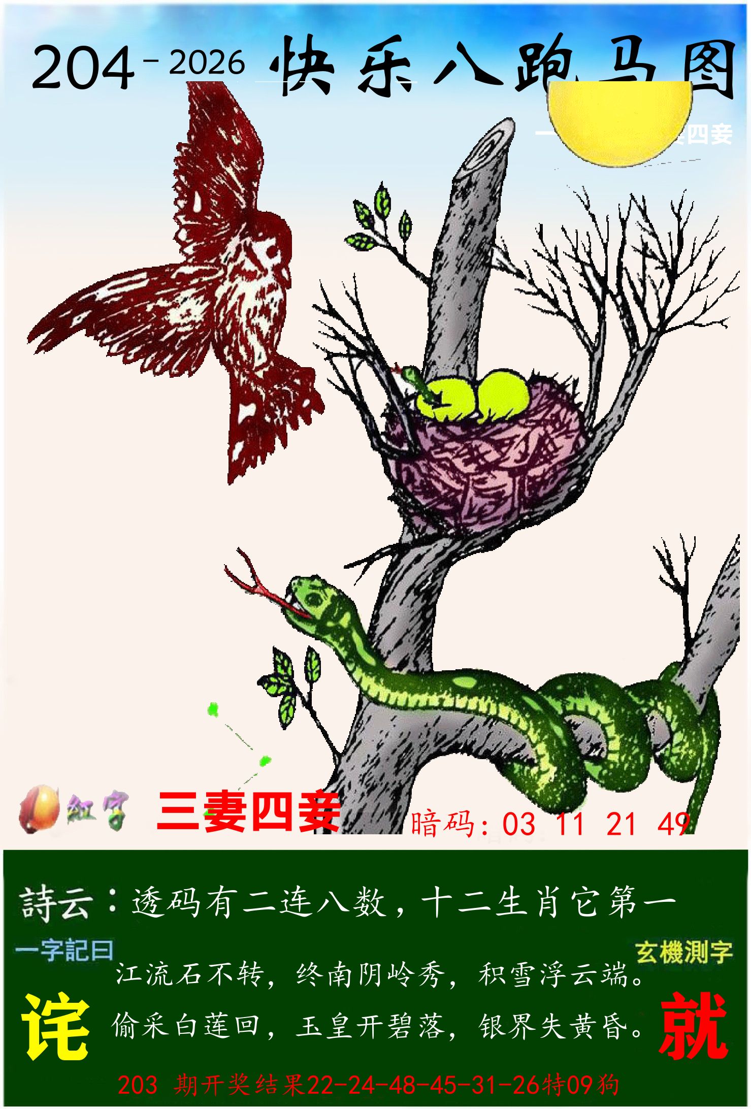 澳门跑马 第204期