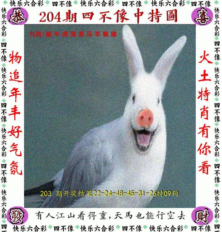 四不像 第204期