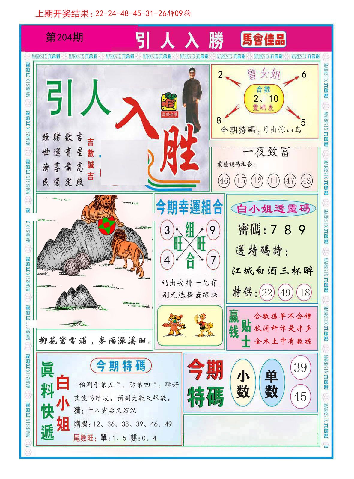 引人入胜 第204期