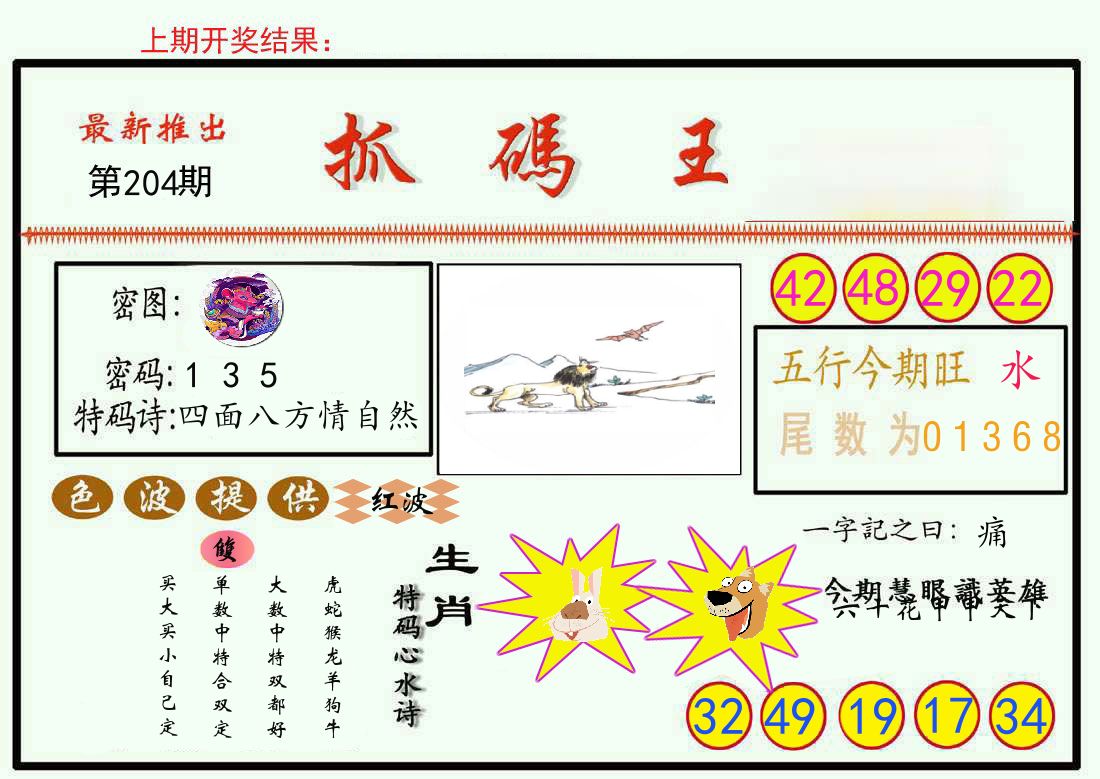 最新抓码王 第204期