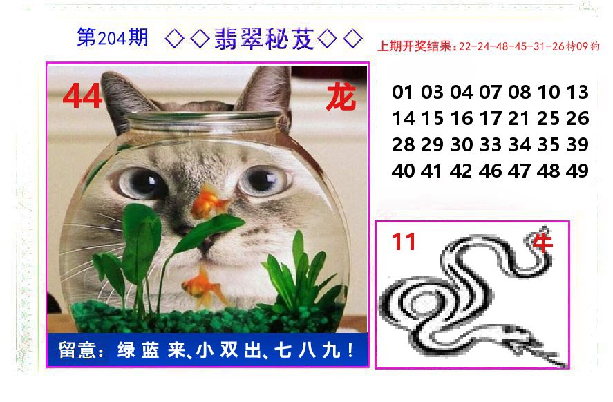 翡翠秘芨 第204期