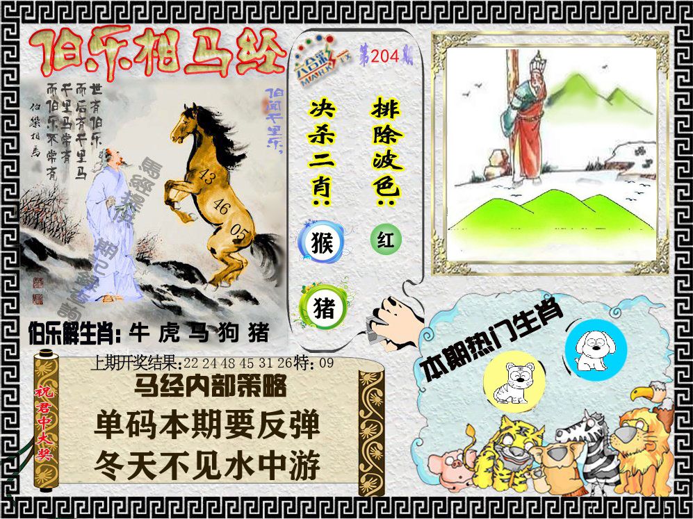 伯乐相马经 第204期