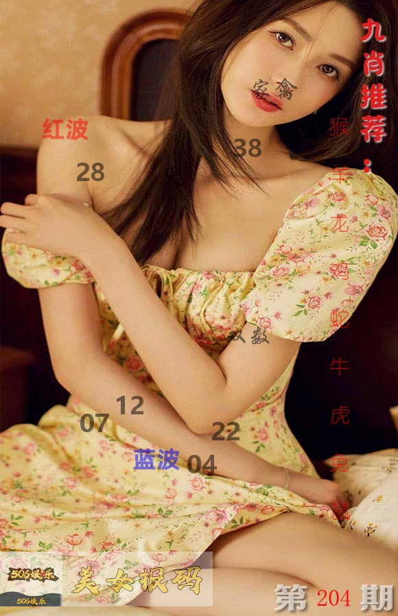 美女报码 第204期