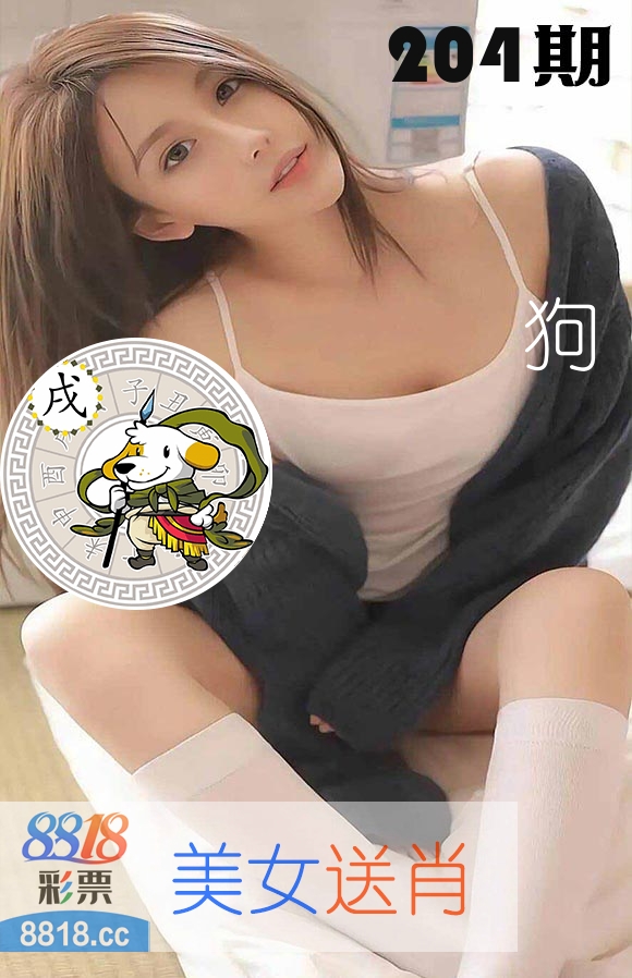 美女送肖 第204期