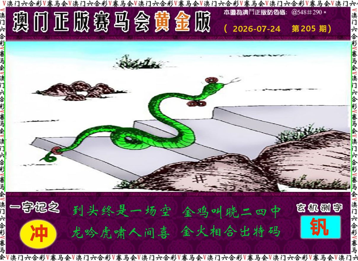 赛马会黄金版 第205期