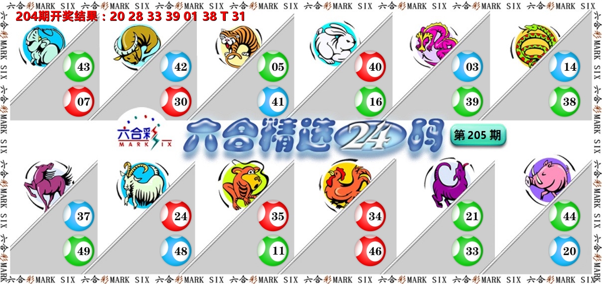六合精选24码 第205期