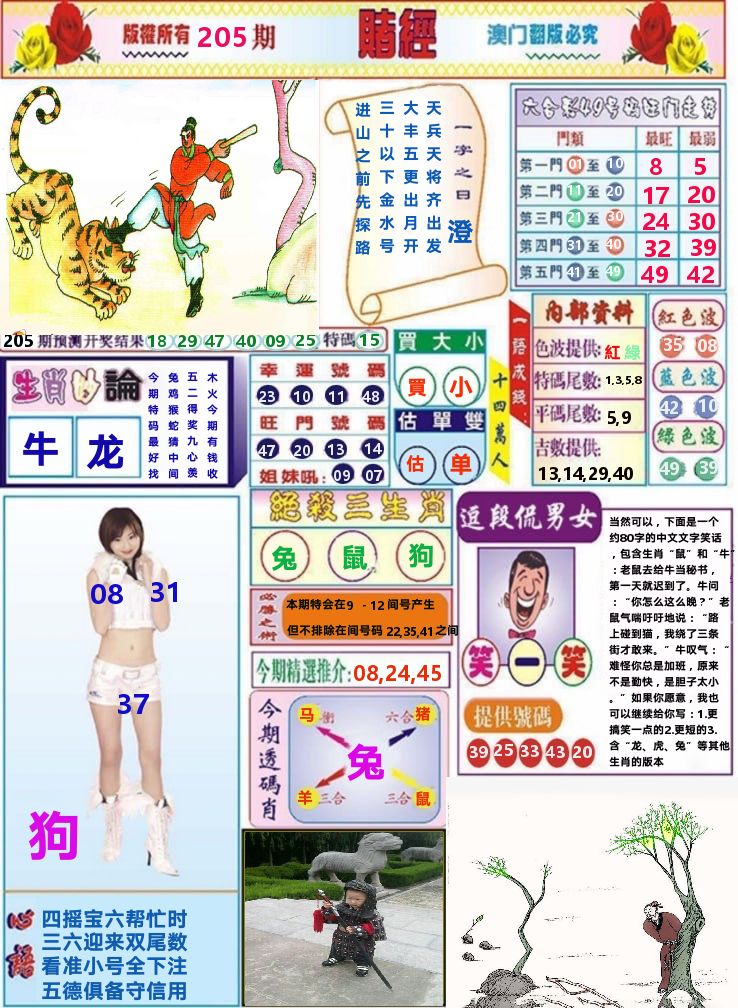 澳门赌经 第205期