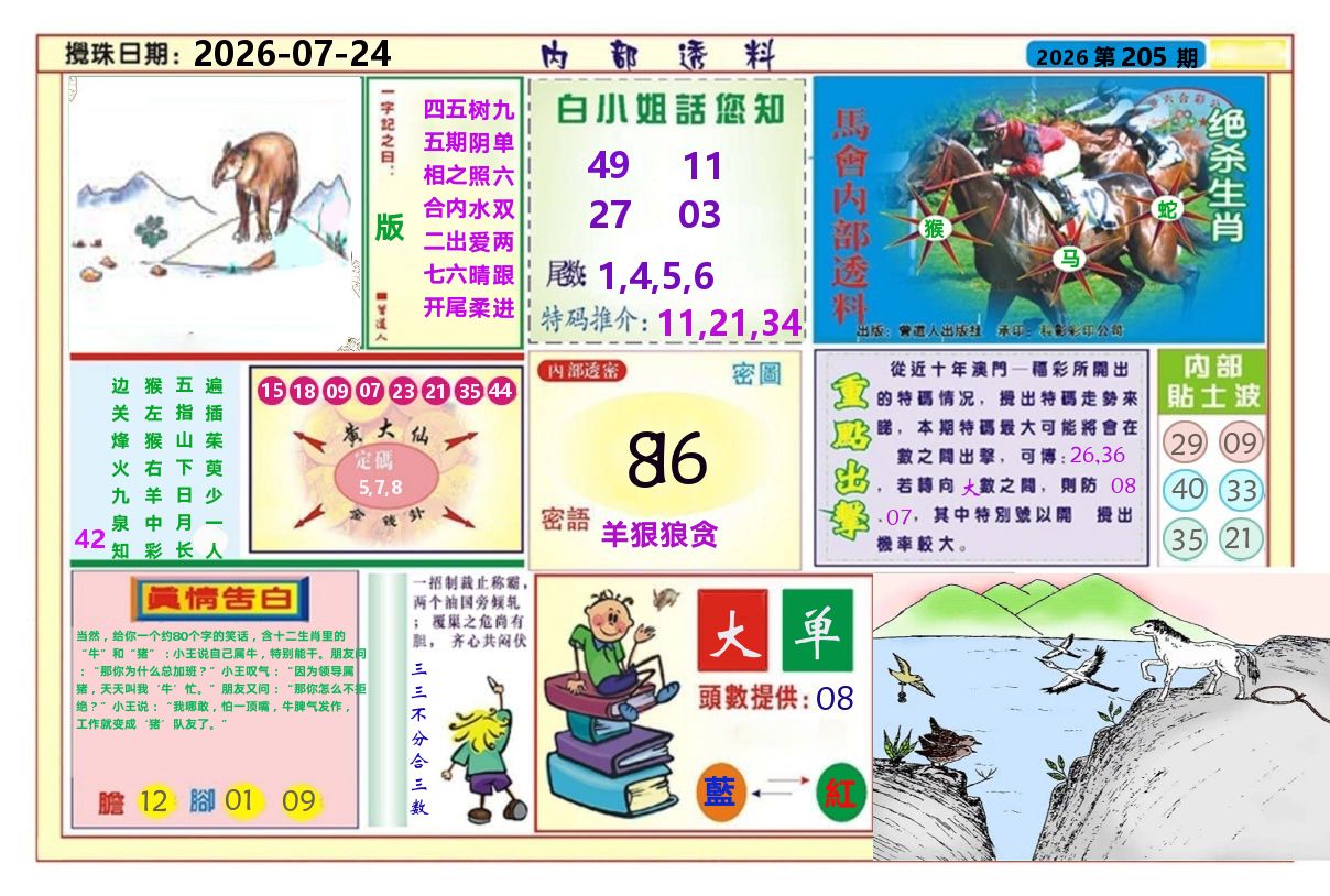 澳门内部透料A 第205期