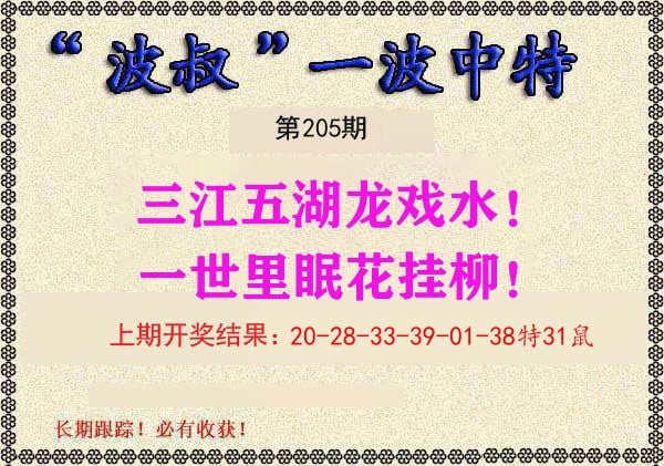 波叔中特 第205期