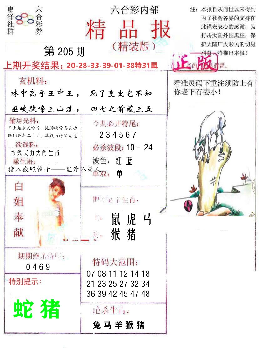 精品报 第205期